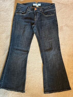 Jolt Jeans Dark Indigo Flare Jeans 11P
